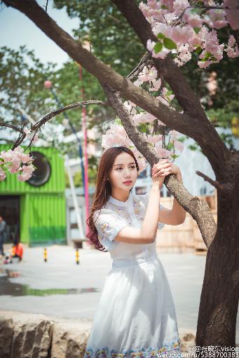 最近好看的2019中文在线小说